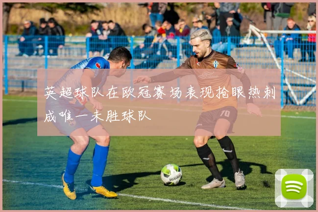 英超球队在欧冠赛场表现抢眼热刺成唯一未胜球队