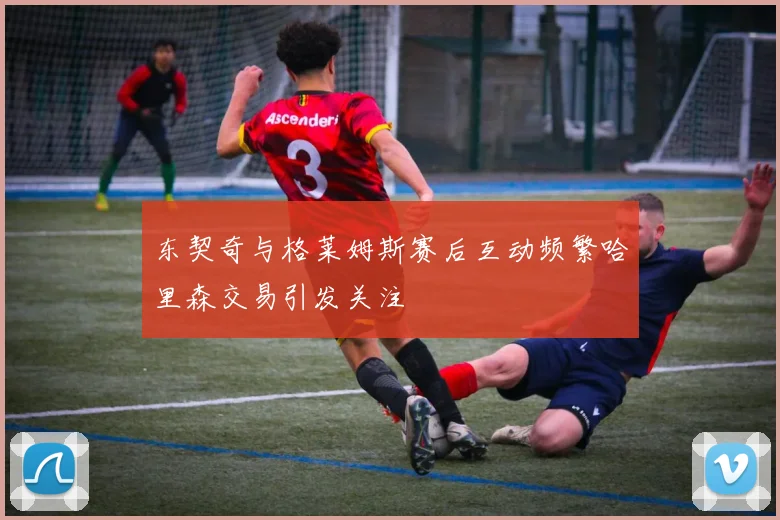 东契奇与格莱姆斯赛后互动频繁哈里森交易引发关注
