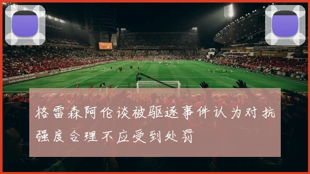格雷森阿伦谈被驱逐事件认为对抗强度合理不应受到处罚