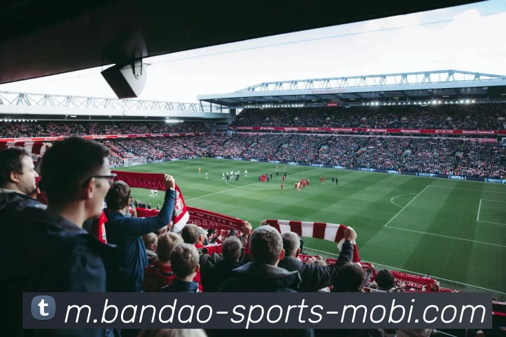 半岛体育发展历程